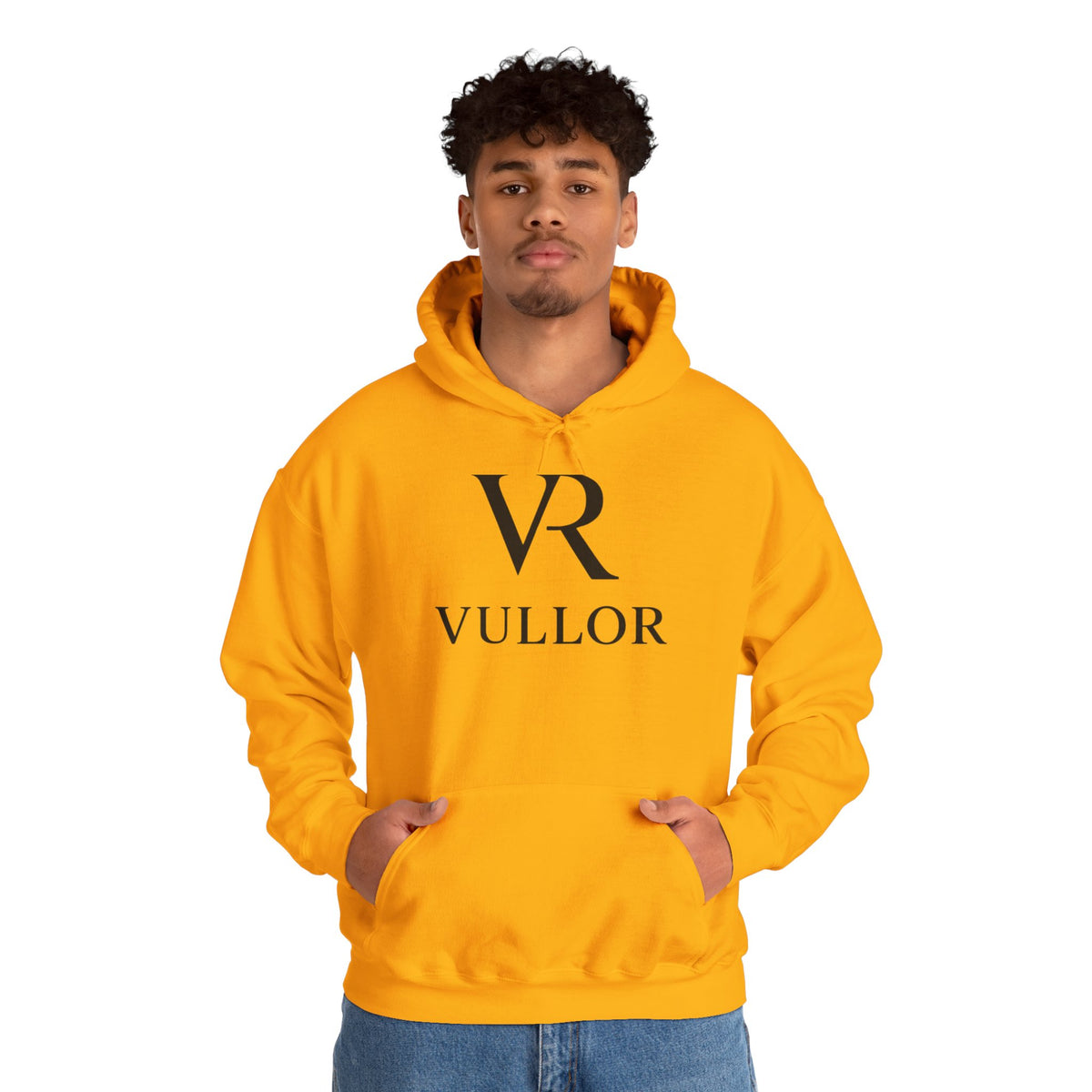 VR Vullor, Hoodie, simple, luxury (COLOR OPTIONAL)