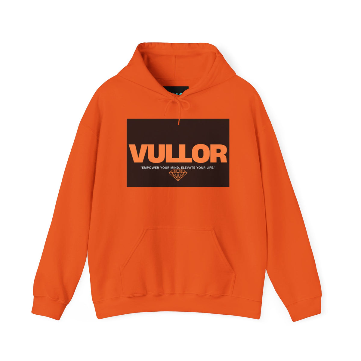 Motivational Unisex Hooded Sweatshirt - VULLOR OG Style